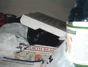 Mmmm... let's order some cat for dinner.