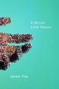 A Million Little Pieces