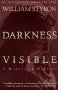 Darkness Visible